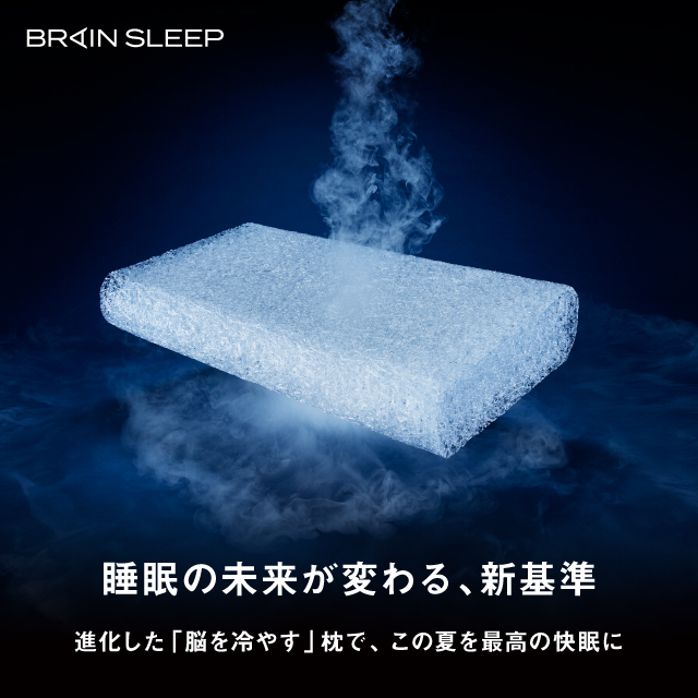 ブレインスリープ枕の新モデル画像